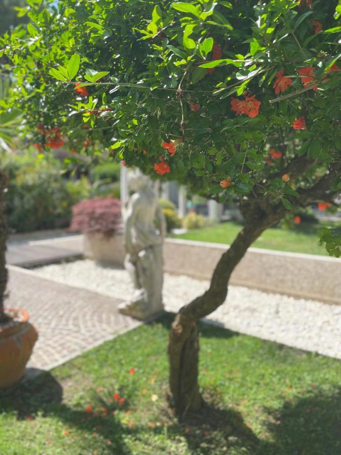 Park Hotel Cellini ليدو دي يسولو المظهر الخارجي الصورة